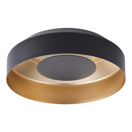 LED Stropné svietidlo LED/20W/230V 3000K čierna