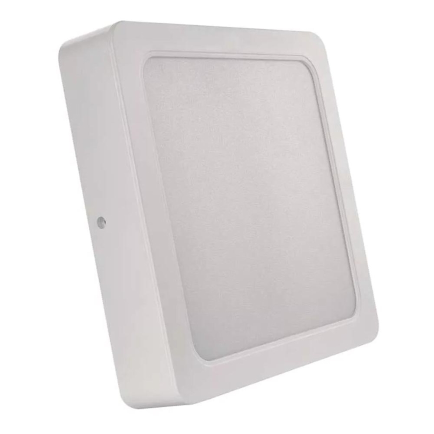 LED Stropné svietidlo LED/24W/230V 22x22 cm biela