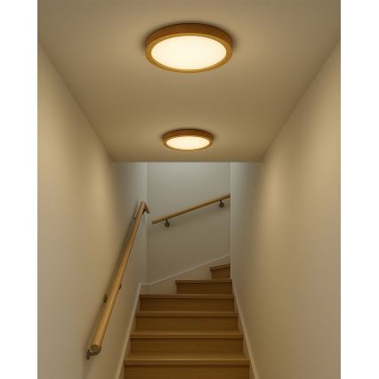 LED stropné svietidlo LED/24W/230V 3000/4000/6500K pr. 30 cm béžové