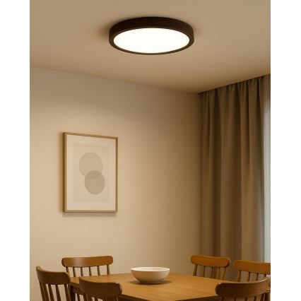 LED stropné svietidlo LED/24W/230V 3000/4000/6500K pr. 30 cm hnedé