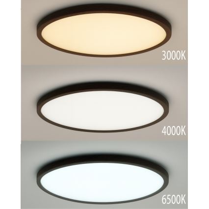 LED stropné svietidlo LED/24W/230V 3000/4000/6500K pr. 30 cm hnedé