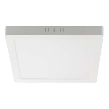 LED Stropné svietidlo LED/24W/230V 3000K 28,7x28,7 cm biela