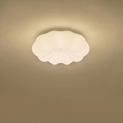 LED Stropné svietidlo LED/24W/230V 3000K čierna