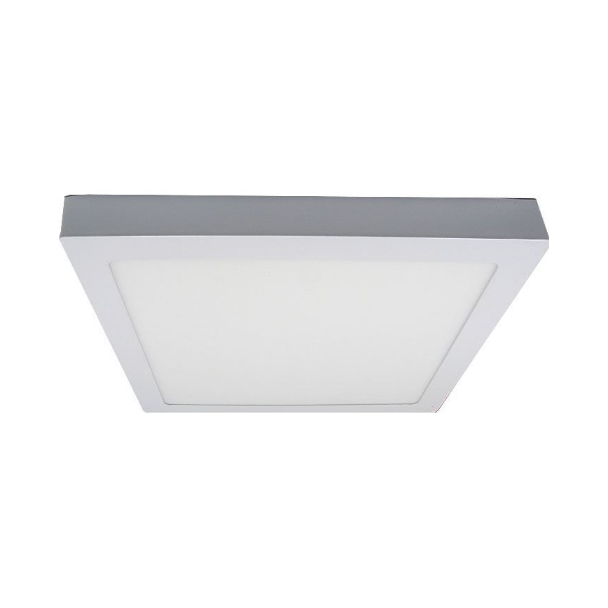 LED Stropné svietidlo LED/24W/230V 3000K