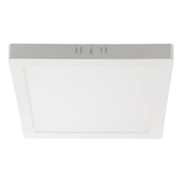 LED Stropné svietidlo LED/24W/230V 4000K 28,7x28,7 cm biela