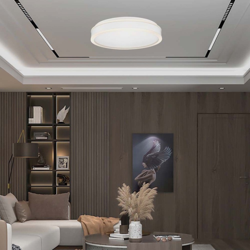 LED Stropné svietidlo LED/24W/230V 4000K biela