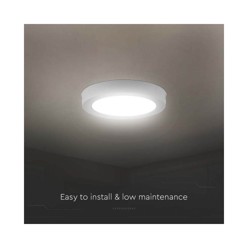 LED Stropné svietidlo LED/24W/230V 4000K