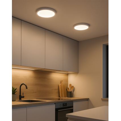 LED Stropné svietidlo LED/24W/230V 4200K pr. 28,5 cm biela