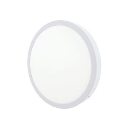 LED Stropné svietidlo LED/24W/230V 4200K