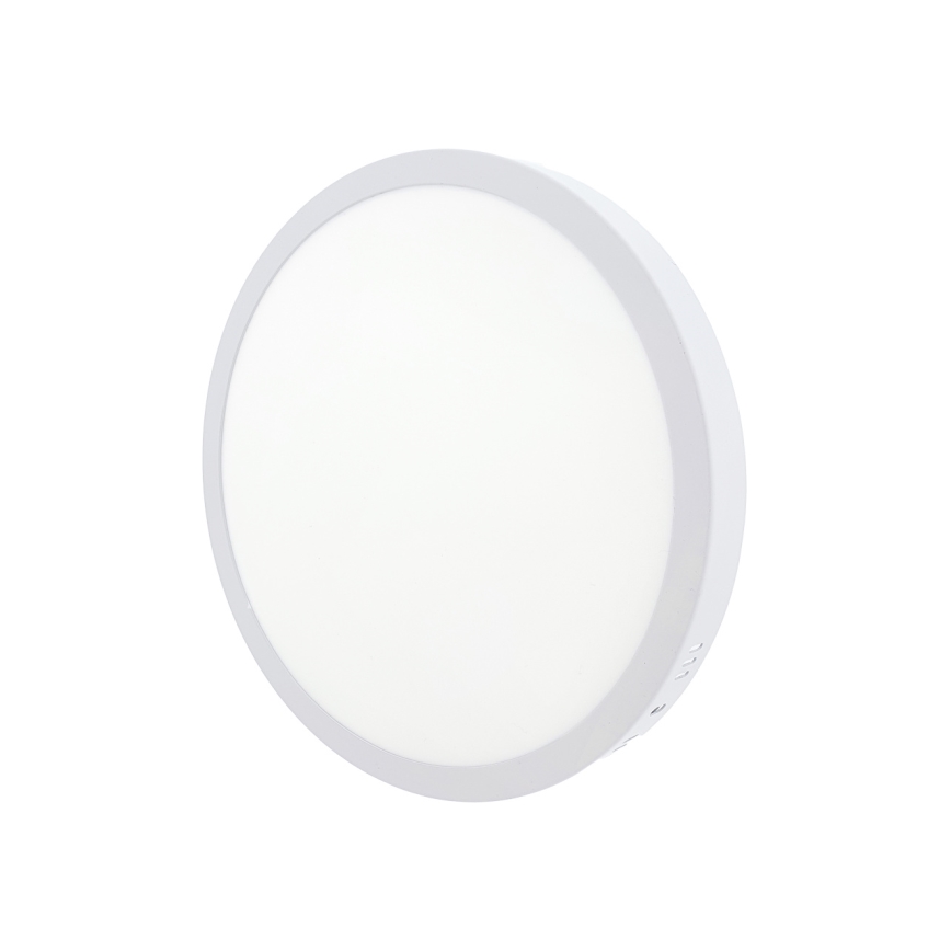 LED Stropné svietidlo LED/24W/230V 4200K