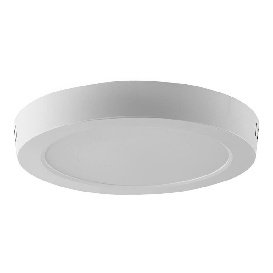 LED Stropné svietidlo LED/24W/230V 6500K pr. 28,8 cm