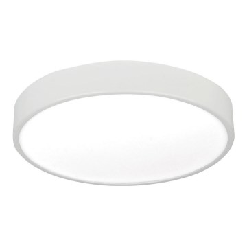 LED Stropné svietidlo LED/24W/230V