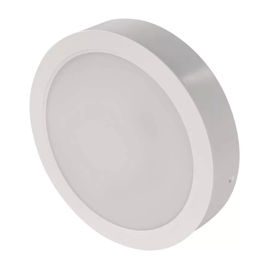 LED Stropné svietidlo LED/24W/230V pr. 22 cm biela