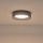 LED Stropné svietidlo LED/30W/230V 3000K čierna pr. 40 cm