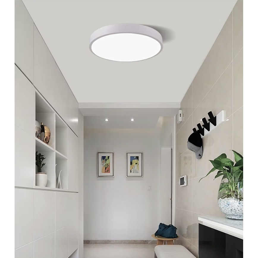 LED Stropné svietidlo LED/30W/230V 4000K pr. 30 cm biela