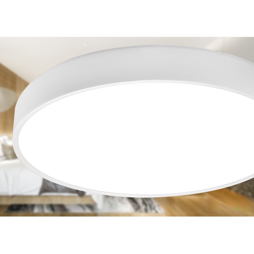 LED Stropné svietidlo LED/30W/230V 4000K pr. 30 cm biela