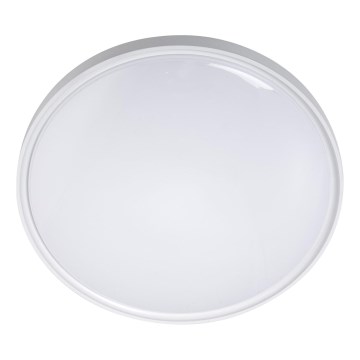 LED Stropné svietidlo LED/36W/230V pr. 40 cm biela