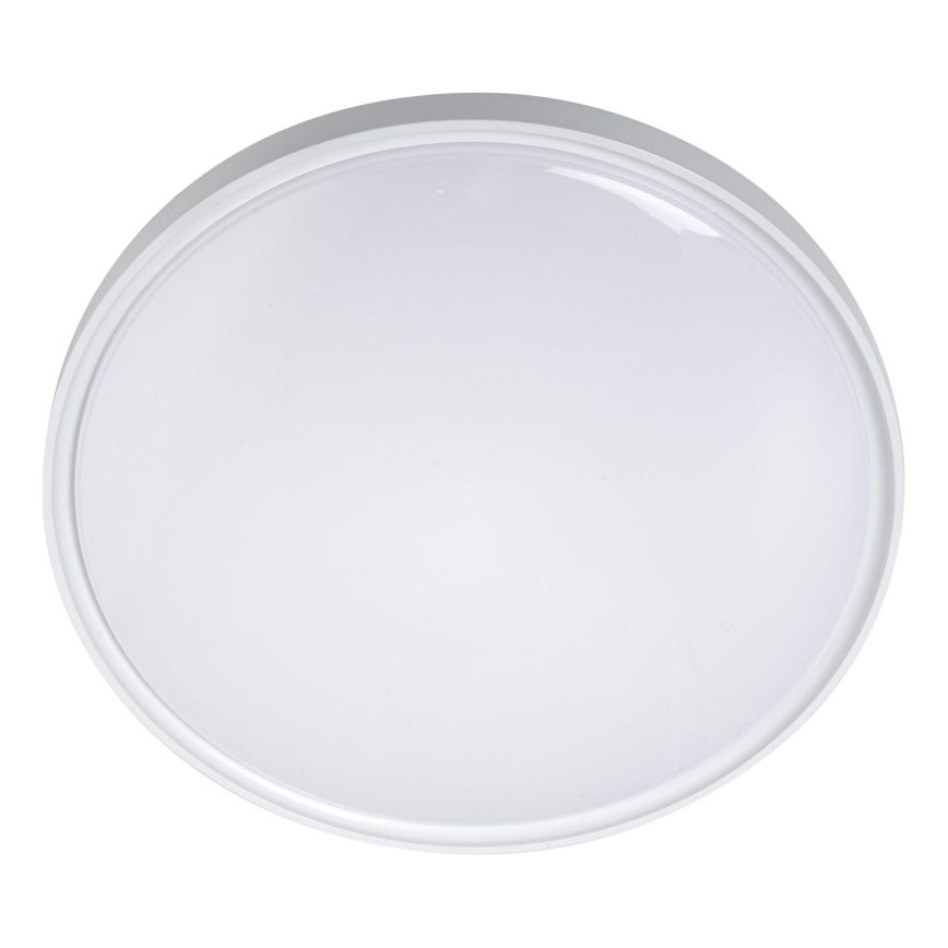 LED Stropné svietidlo LED/36W/230V pr. 40 cm biela