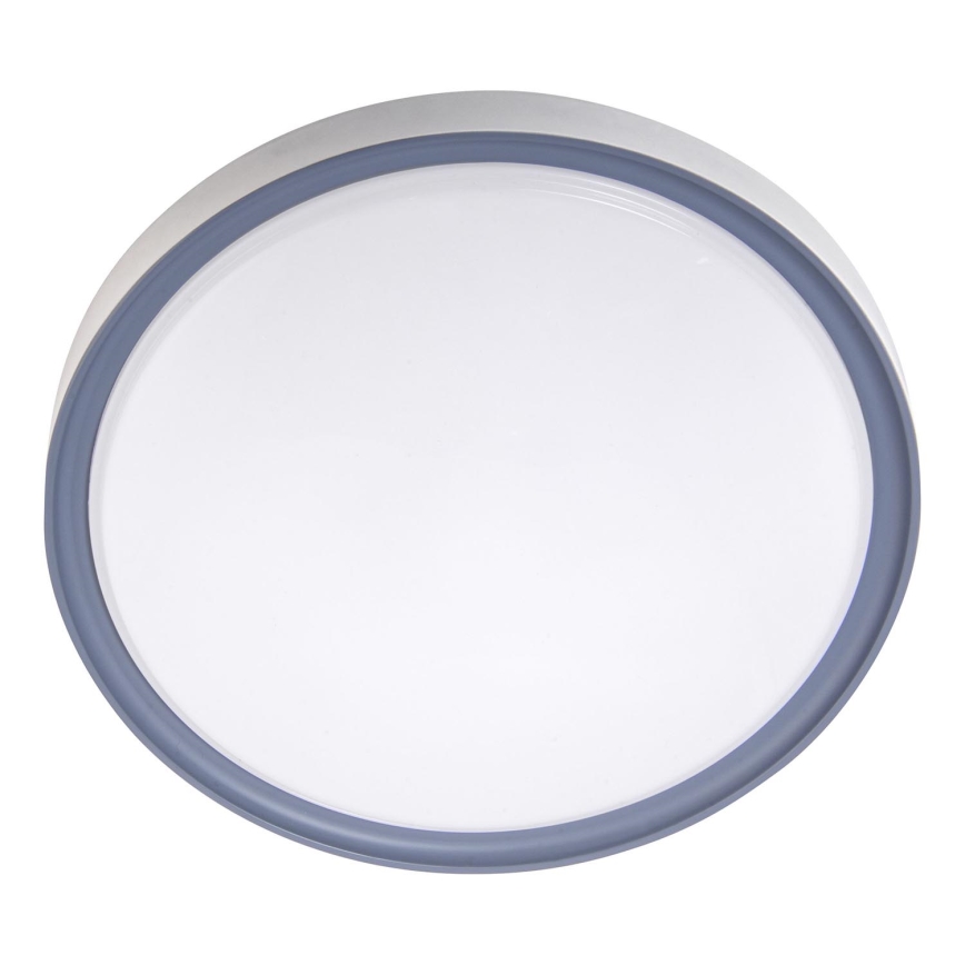 LED Stropné svietidlo LED/36W/230V pr. 40 cm biela/šedá