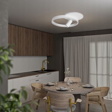 LED Stropné svietidlo LED/38W/230V + 1xGU10/30W biela