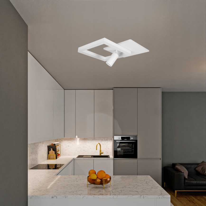 LED stropné svietidlo LED/38W/230V + 1xGU10/30W biela