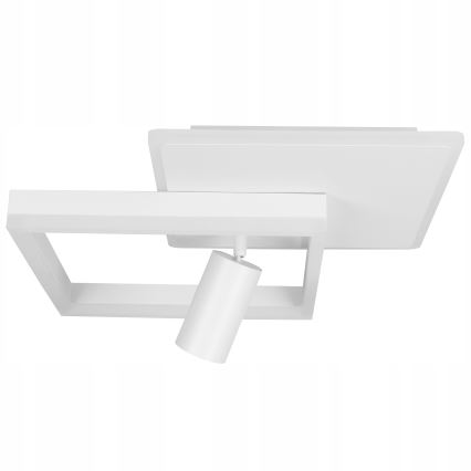 LED stropné svietidlo LED/38W/230V + 1xGU10/30W biela