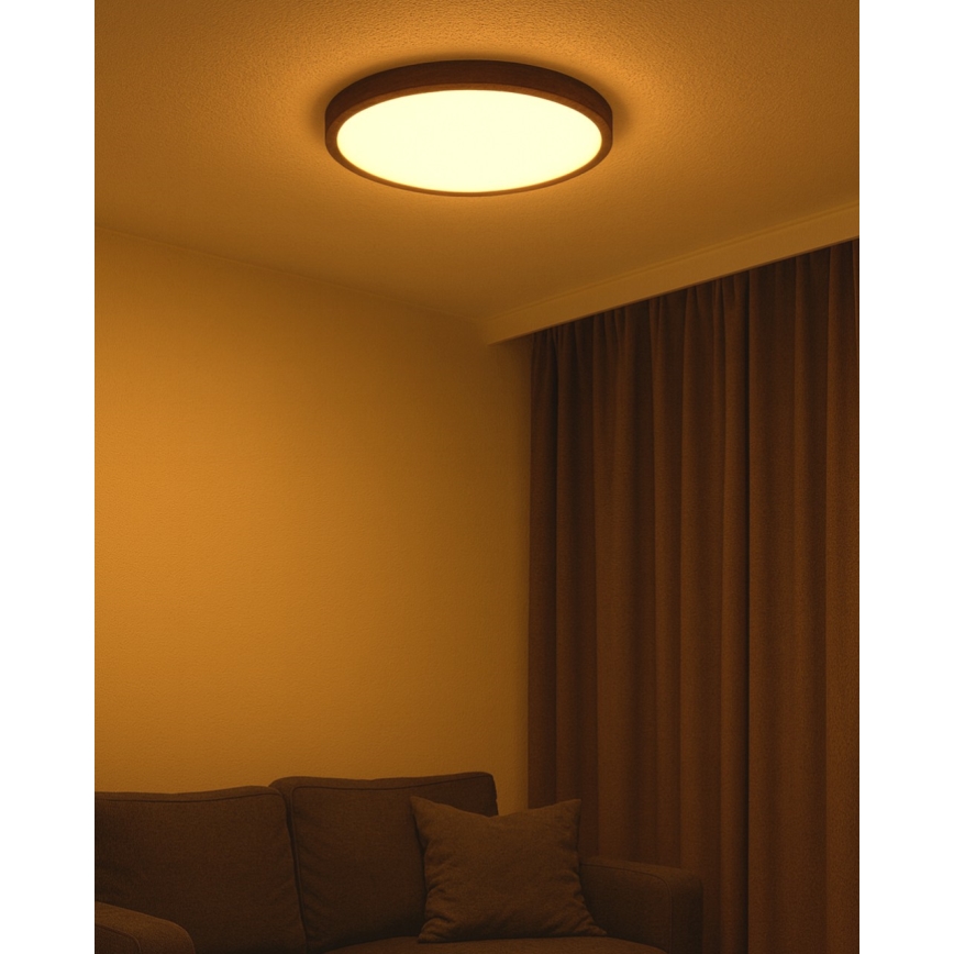 LED stropné svietidlo LED/40W/230V 3000/4000/6500K pr. 50 cm hnedá