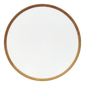 LED stropné svietidlo LED/40W/230V 3000/4000/6500K priemer 50 cm béžové