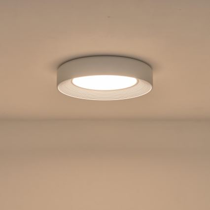 LED Stropné svietidlo LED/40W/230V 3000K biela pr. 50 cm