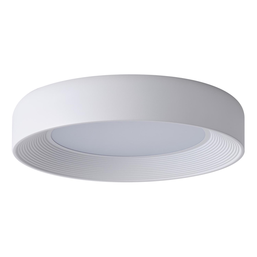 LED Stropné svietidlo LED/40W/230V 3000K biela pr. 50 cm