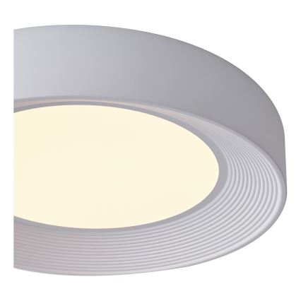 LED Stropné svietidlo LED/40W/230V 3000K biela pr. 50 cm