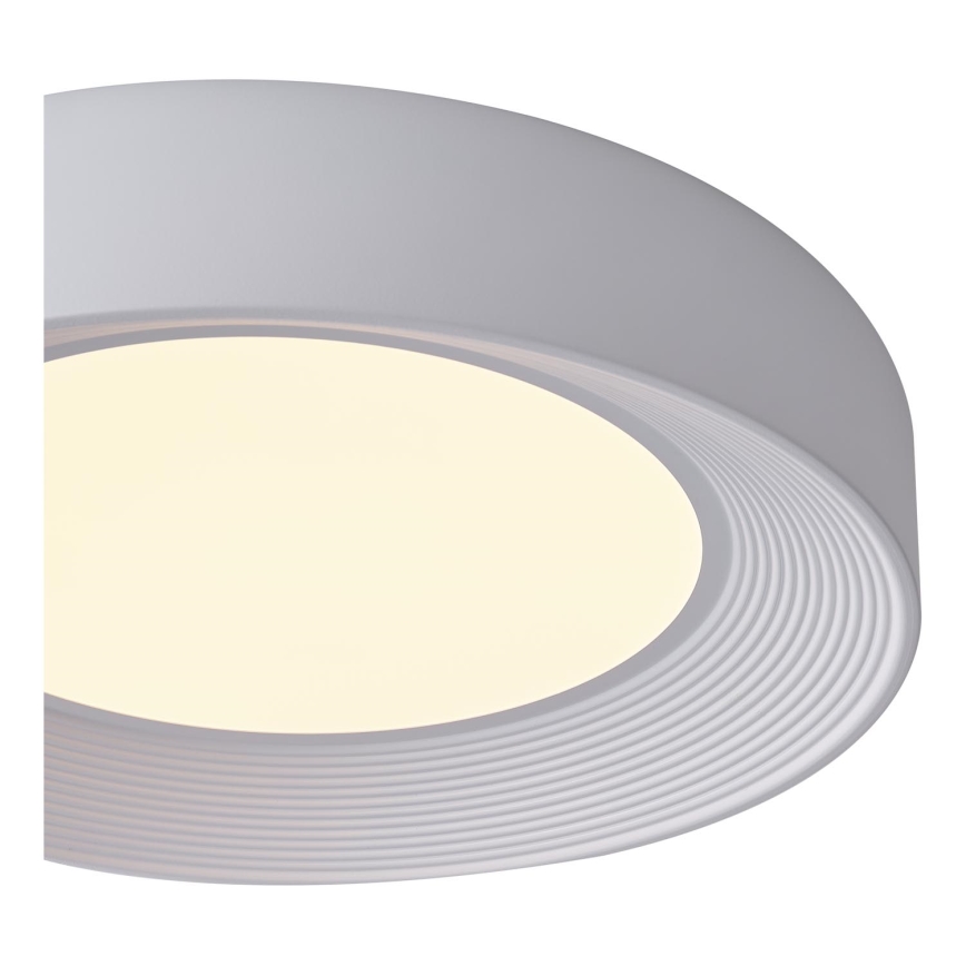 LED Stropné svietidlo LED/40W/230V 3000K biela pr. 50 cm
