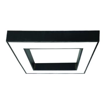 LED Stropné svietidlo LED/55W/230V 4000K 80x80 cm