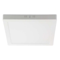 LED Stropné svietidlo LED/6W/230V 4000K 12x12 cm biela