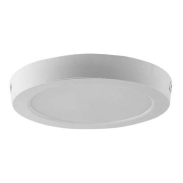 LED Stropné svietidlo LED/6W/230V 6500K biela