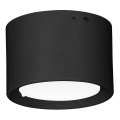 LED Stropné svietidlo LED/6W/230V čierna pr. 8 cm