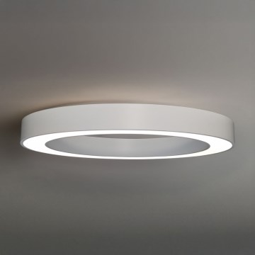 LED stropné svietidlo LED/80W/230V 3000/4000/6500K pr. 80 cm biela