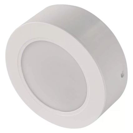 LED Stropné svietidlo LED/9W/230V pr. 12 cm biela