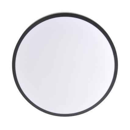 LED stropné svietidlo LIBRA LED/15W/230V 4000K priemer 29 cm čierna