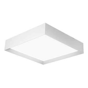 LED Stropné svietidlo LILY LED/35W/230V