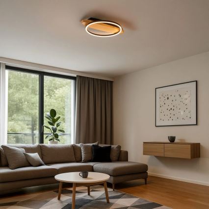 LED stropné svietidlo MELISA LED/12W/230V 30x40 cm borovica