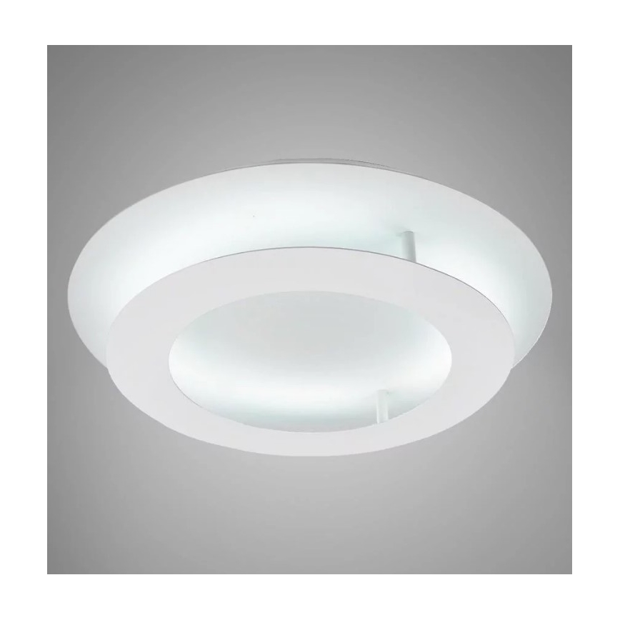 LED Stropné svietidlo MERLE LED/18W/230V