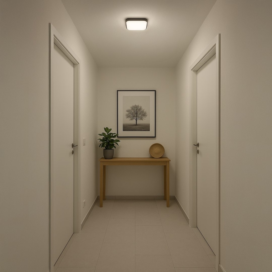 LED stropné svietidlo NEMO LED/11W/230V 26x26 cm čierne