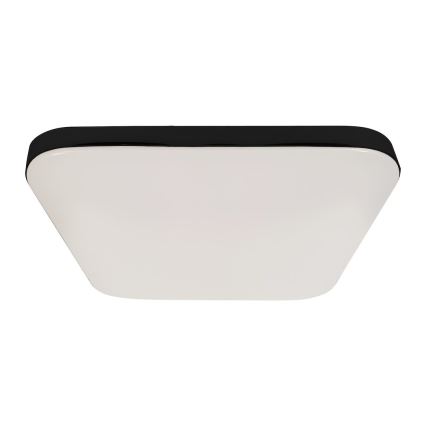 LED Stropné svietidlo NEMO LED/36W/230V 50x50 cm čierna