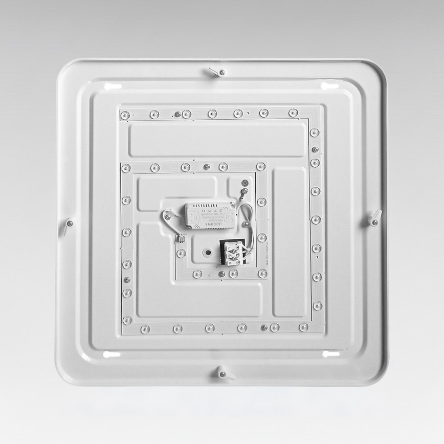 LED stropné svietidlo NEMO LED/36W/230V 50x50 cm lesklý chróm