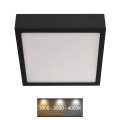 LED Stropné svietidlo NEXXO LED/12,5W/230V 3000/3500/4000K 17x17 cm čierna