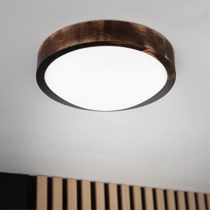 LED stropné svietidlo OAK SMOKY SLIM LED/20W/230V 4000K pr. 27 cm dub/tmavohnedá