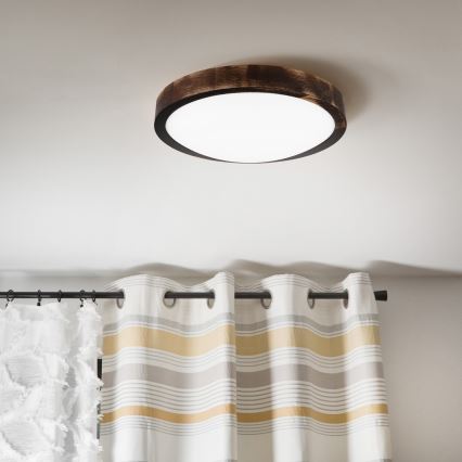 LED stropné svietidlo OAK SMOKY SLIM LED/20W/230V 4000K pr. 27 cm dub/tmavohnedá