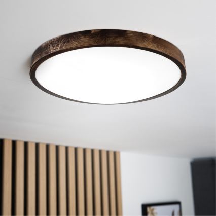 LED stropné svietidlo OAK SMOKY SLIM LED/36W/230V 4000K pr. 47 cm dub/tmavohnedá