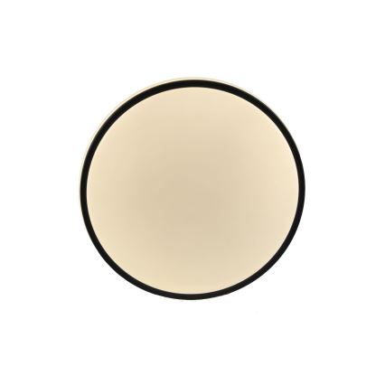 LED Stropné svietidlo ORBIT LED/15W/230V pr. 28 cm čierna